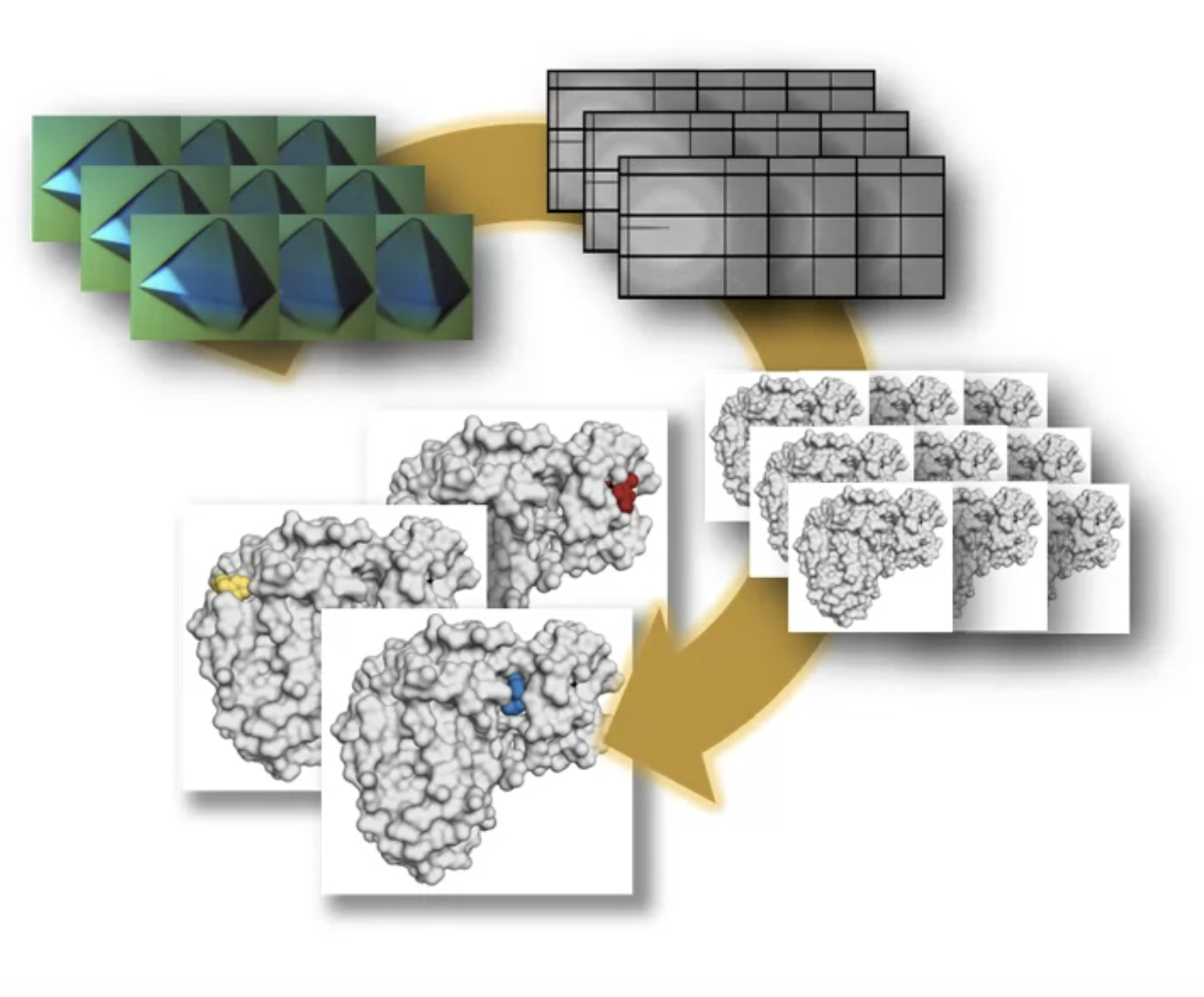 CFS Crystallographic Fragment Screening at Proteros